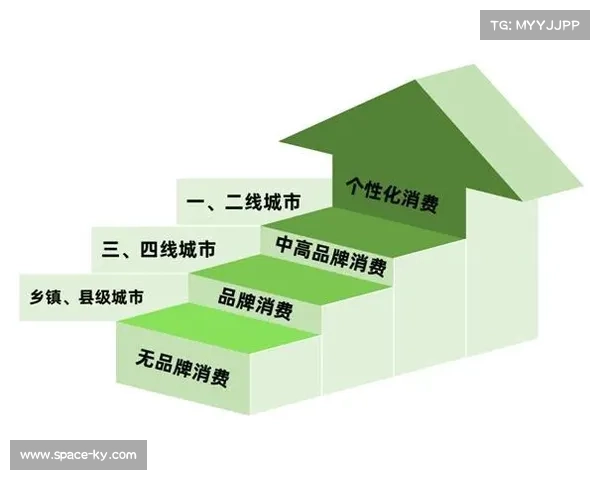 下沉市场内容需求增长驱动分发网络向多层次服务体系演进 下沉市场内容需求增长驱动分发网络向多层次服务体系演进